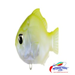 DUO - REALIS NOMASE GILL