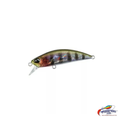 DUO SPEARHEAD RYUKI 50S