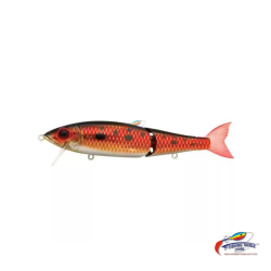 Zerek Awake | 160 mm | Swimbait | 42 Grams | 781-WL160