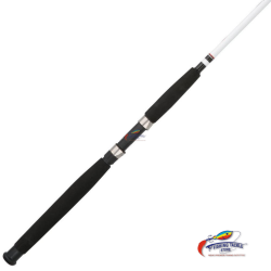 BERKLEY Big Game™ Spinning Rod | 10ft