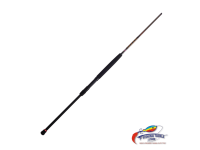Penn Squadron® III Surf | 12ft | Spinning Rod 