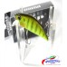 DUO - SPEARHEAD RYUKI 50S