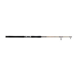 Ugly Stik Tiger Lite Jigging Rod - BWSJL220060C